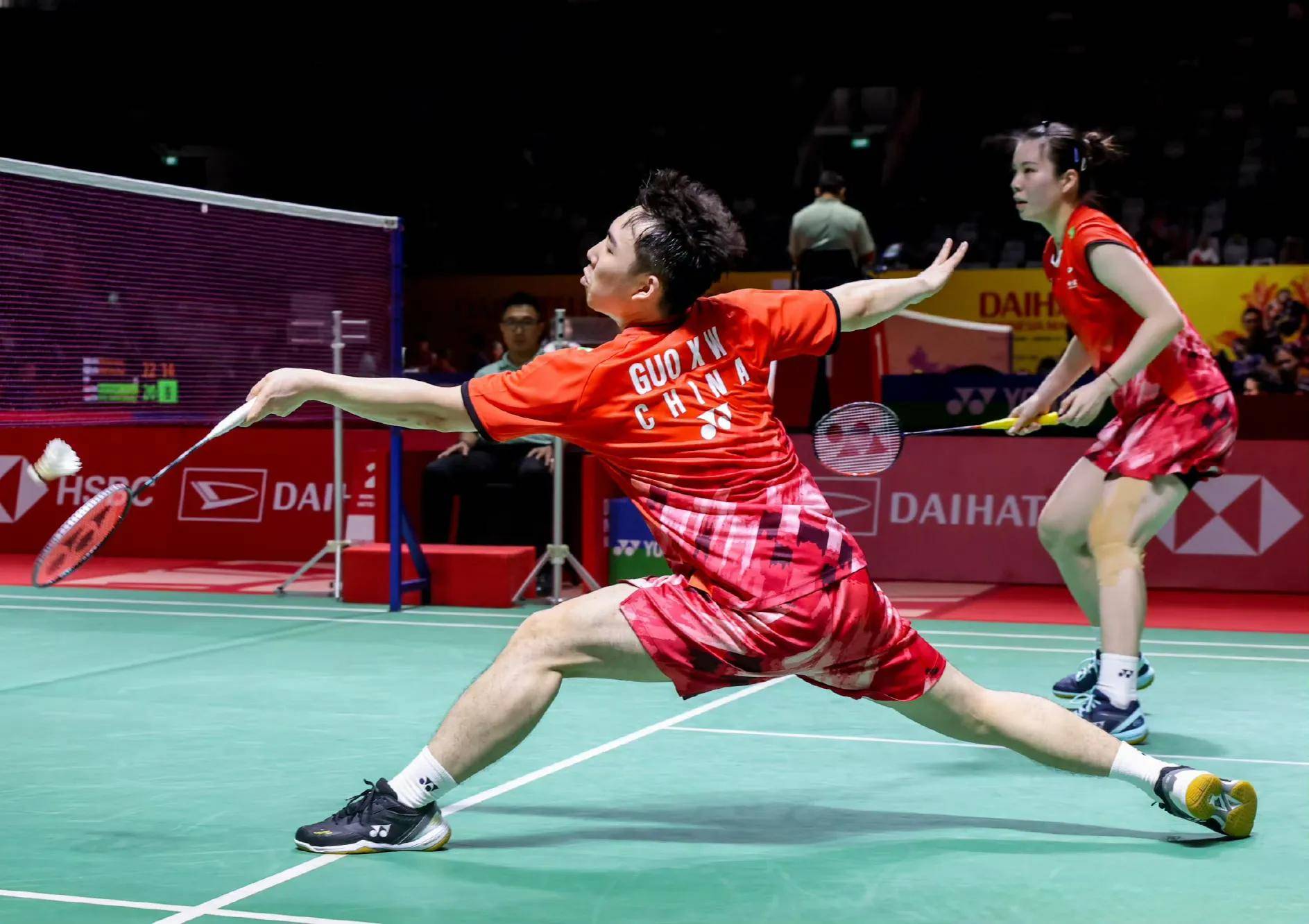 的多样化 的多样化