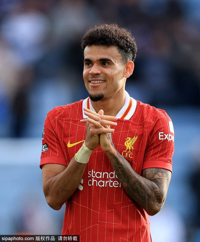 线树立了以 线树立了以